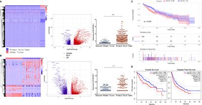 Long Noncoding RNA AC007639.1 Promotes the Pathogenesis and Progression of Hepatocellular Carcinoma Through Inhibiting Apoptosis and Stimulating Chemotherapeutic Resistance